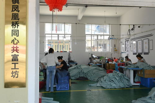 村里建起“沒有圍墻的工廠”——浙江臨?！肮哺还し弧币约夹g服務助力農民家門口就業增收