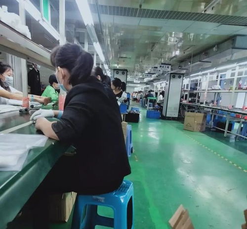 破解用工荒迷思 從浙江技術(shù)服務(wù)看勞動(dòng)力市場(chǎng)的價(jià)值回歸