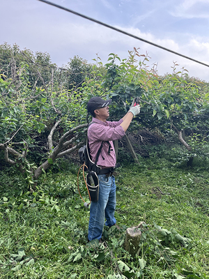 2024年浙江省“百姓學(xué)習(xí)之星” | 施星仁 扎根技術(shù)服務(wù)的“鄉(xiāng)土工匠”